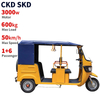 Support 3000W-50 Electric Passenger Tricycle TR02  