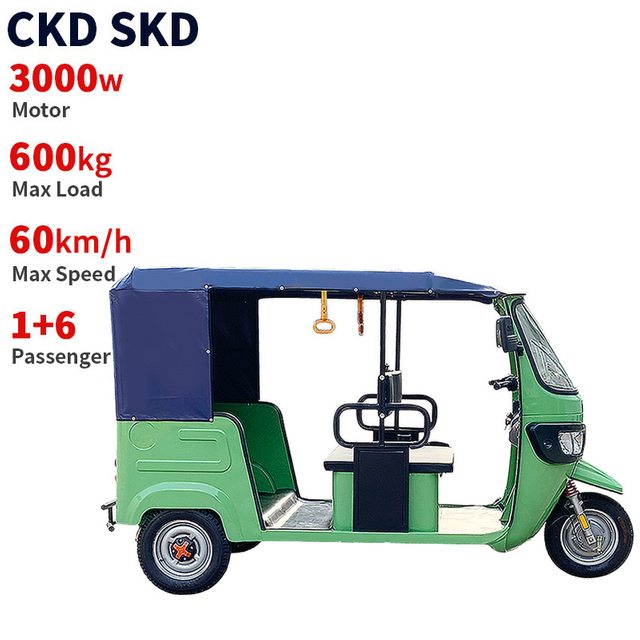  Support 3000W-60 Electric Passenger Tricycle TR02    