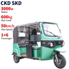  Support 3000W-50 Electric Passenger Tricycle TR01  