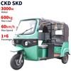  Support 3000W-60 Electric Passenger Tricycle TR01  