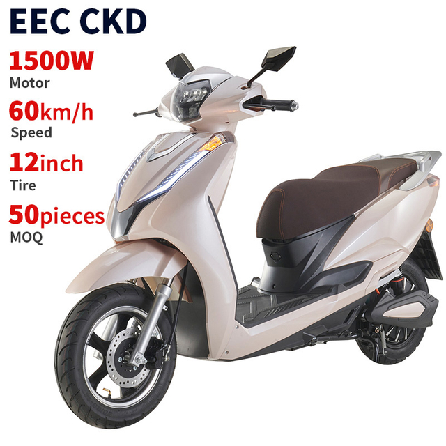 Support 1500W Electric Moped for fast charging